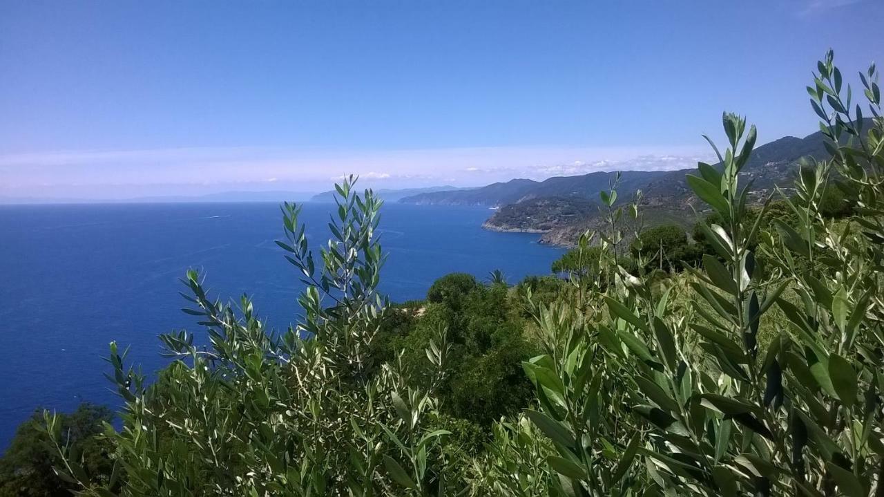 Hotel La Giada Del Mesco Levanto Dış mekan fotoğraf